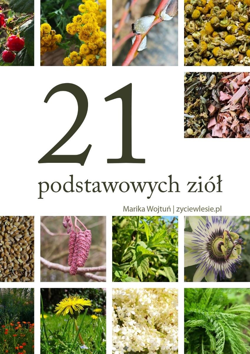 21 podstawowych ziół okładka