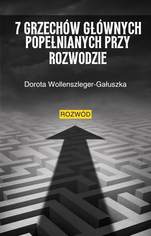 7 grzechów głównych popełnianych przy rozwodzie okładka