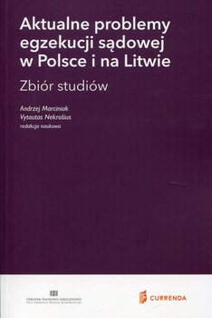 Aktualne problemy egzekucji sądowej w Polsce i na Litwie. Zbiór studiów okładka