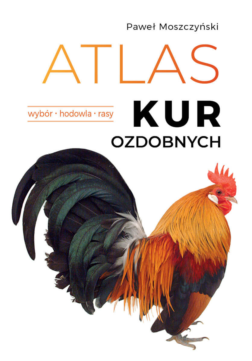 Atlas kur ozdobnych. Wybór. Hodowla. Rasy okładka