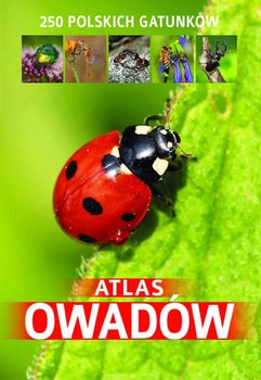 Atlas owadów. 250 polskich gatunków okładka