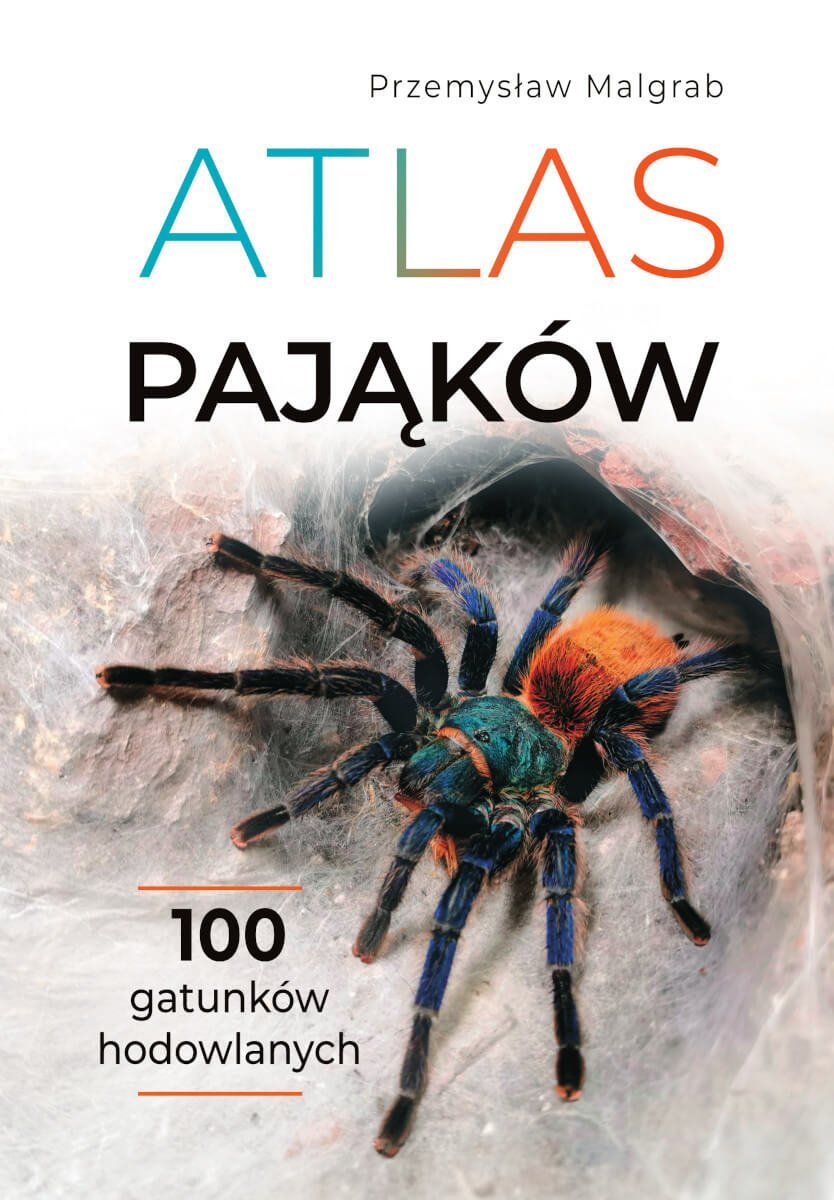 Atlas pająków. 100 gatunków hodowlanych okładka
