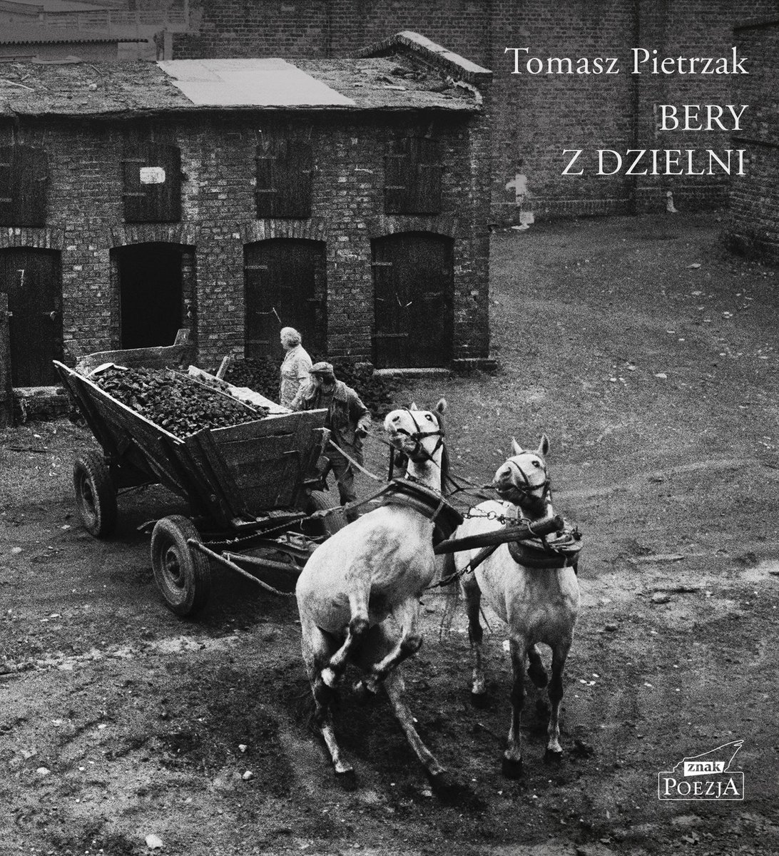 Bery z dzielni okładka