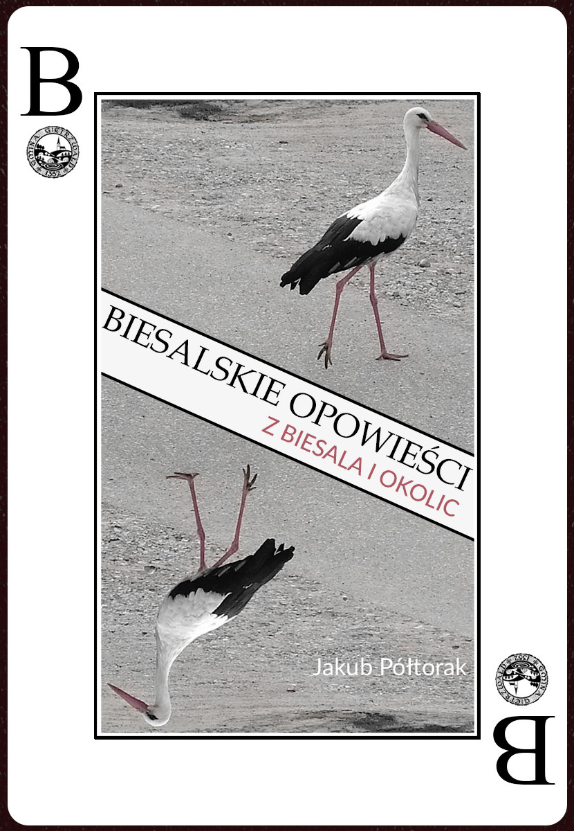 Biesalskie opowiesci. Z Biesala i okolic - ebook EPUB okładka