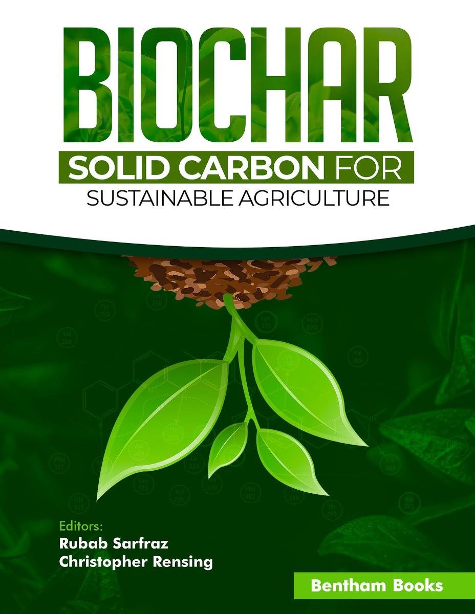 Biochar. Solid Carbon for Sustainable Agriculture okładka