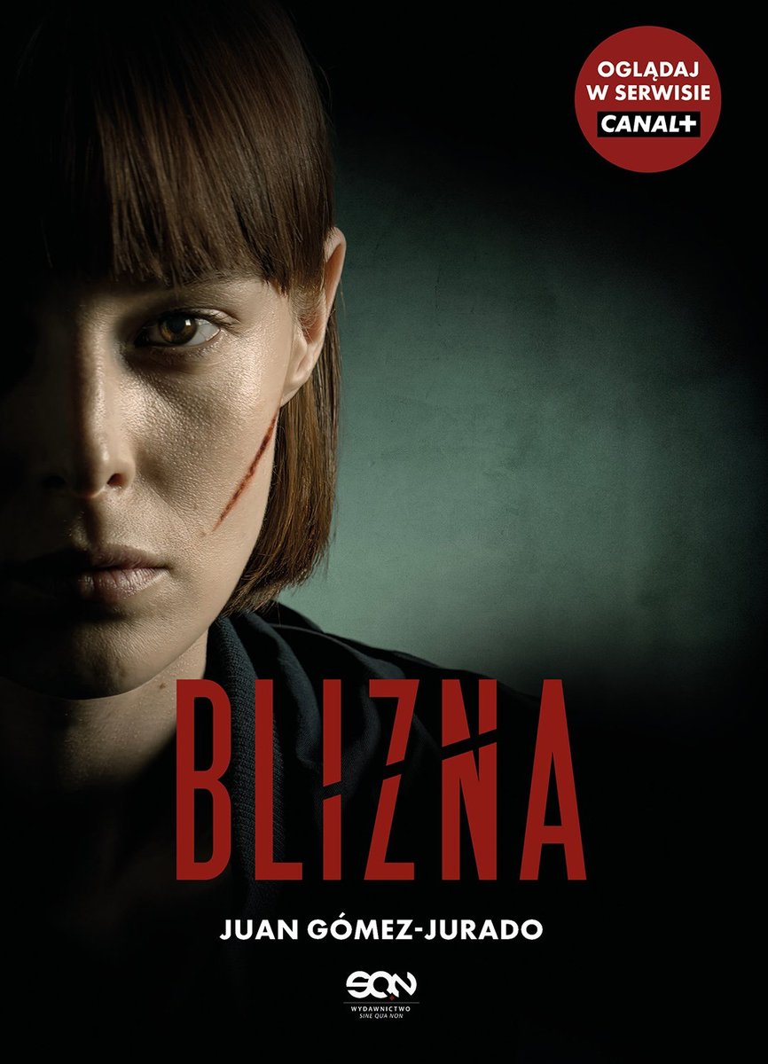 Blizna (wydanie serialowe) okładka