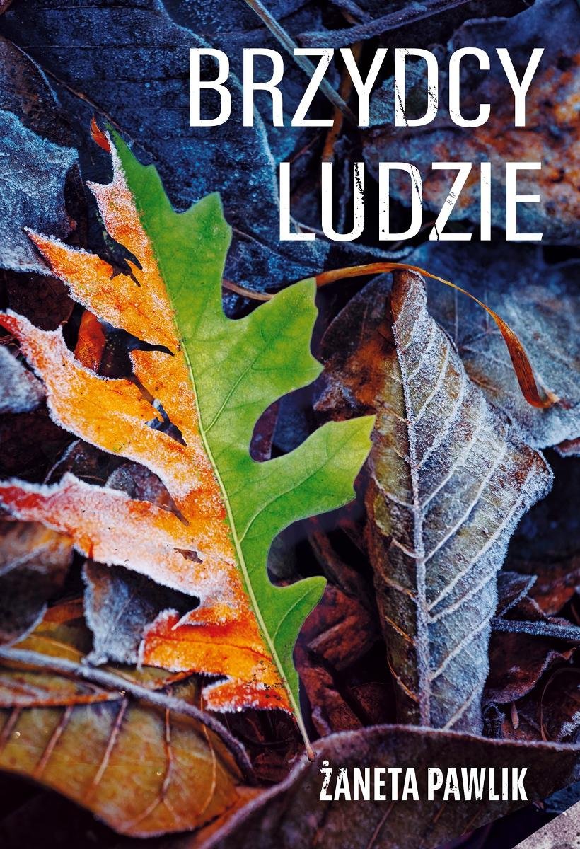 Brzydcy ludzie - ebook MOBI okładka