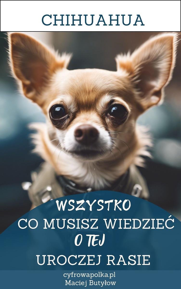 Chihuahua. Wszystko, co musisz wiedzieć o tej uroczej rasie okładka