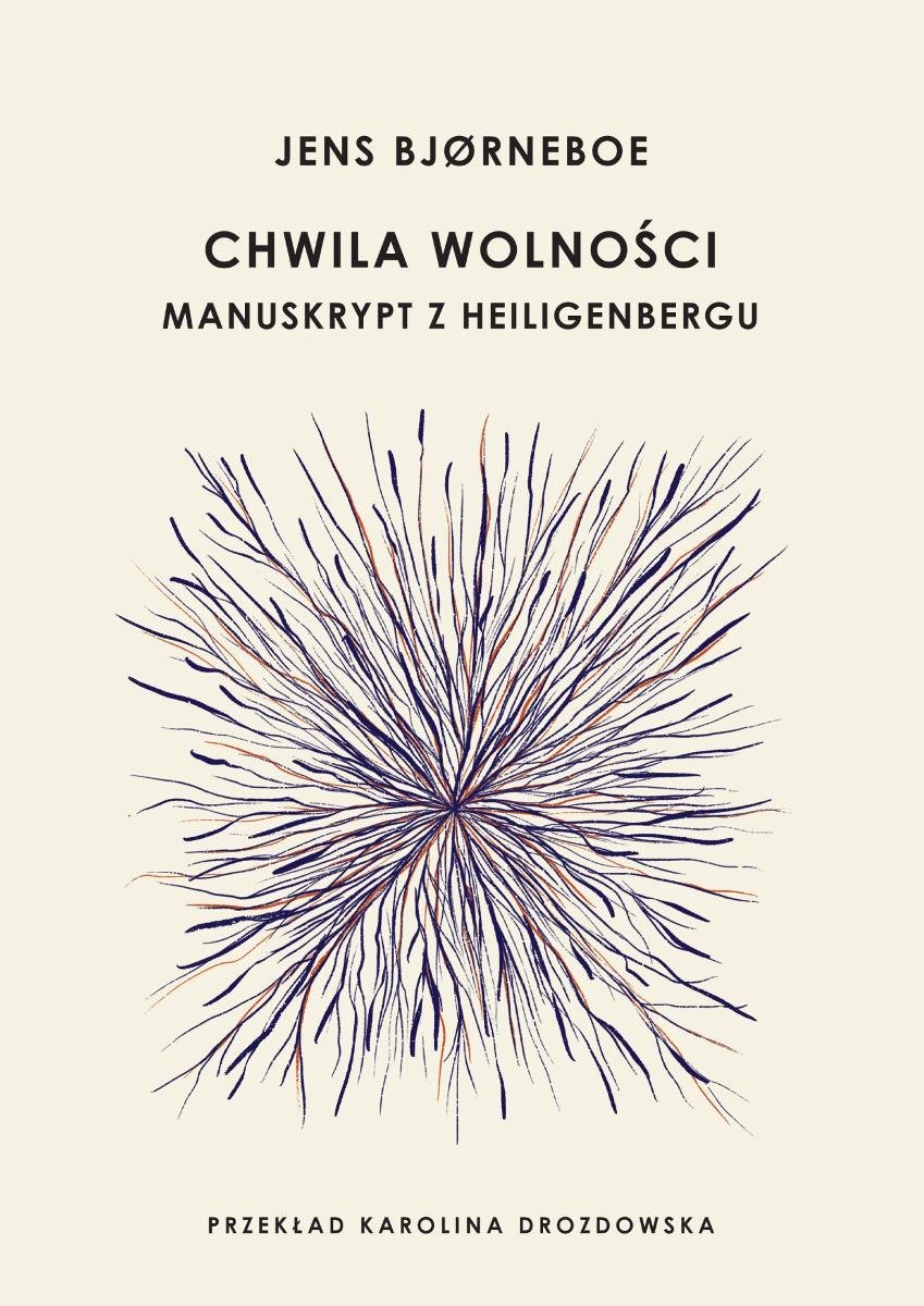 Chwila wolności. Manuskrypt z Heiligenbergu - ebook MOBI okładka