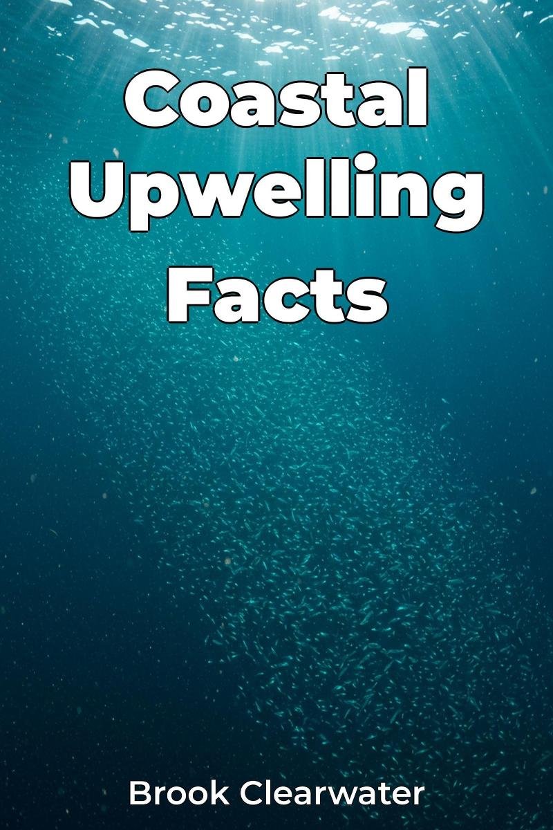 Coastal Upwelling Facts okładka