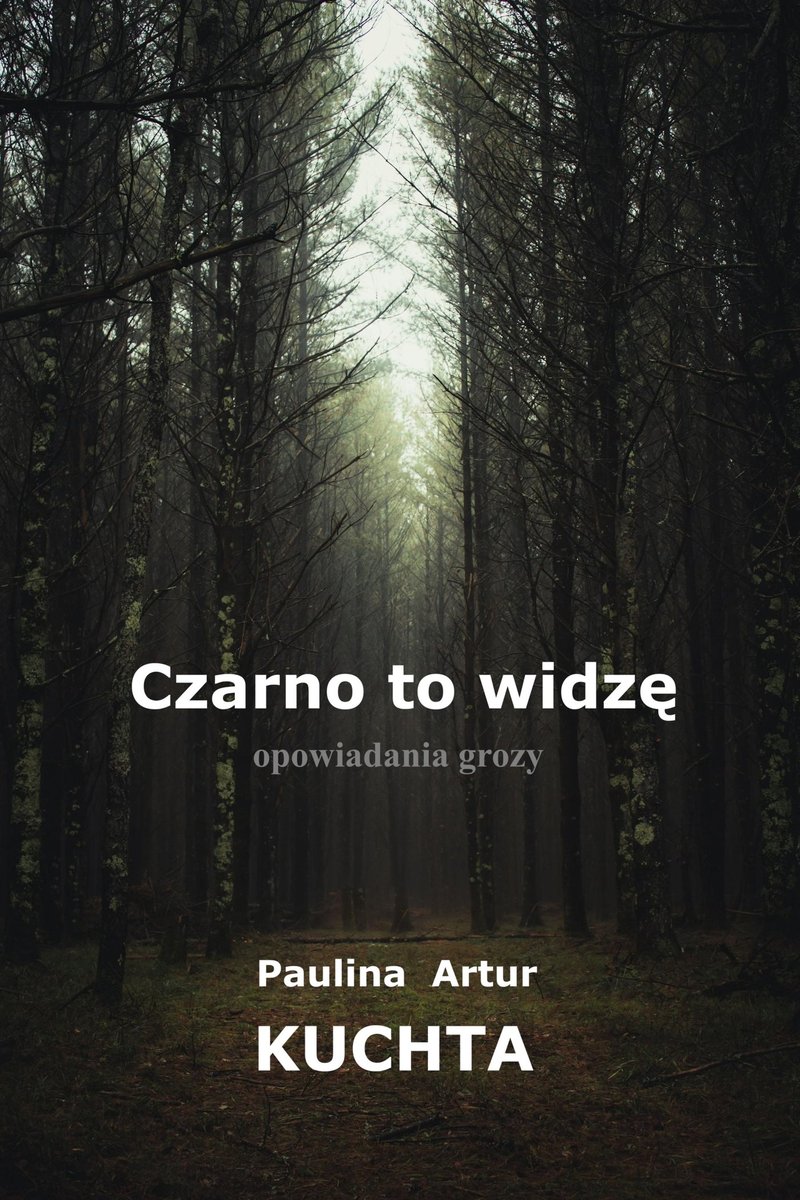 Czarno to widzę okładka