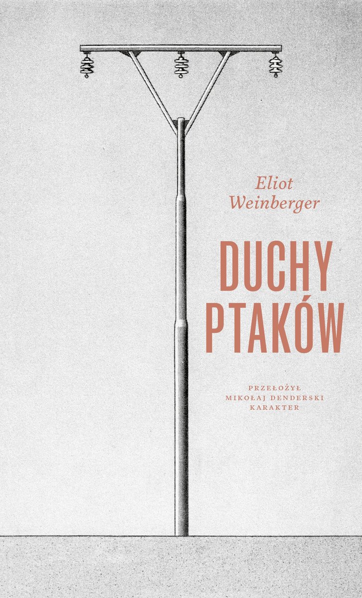 Duchy ptaków - ebook EPUB okładka