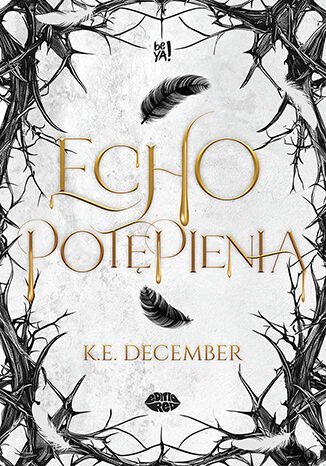 Echo potępienia okładka