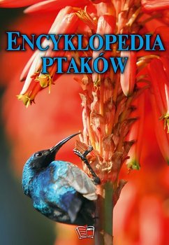 Encyklopedia ptaków okładka
