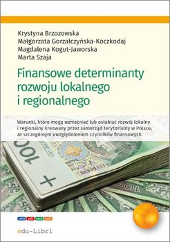 Finansowe determinanty rozwoju lokalnego i regionalnego okładka