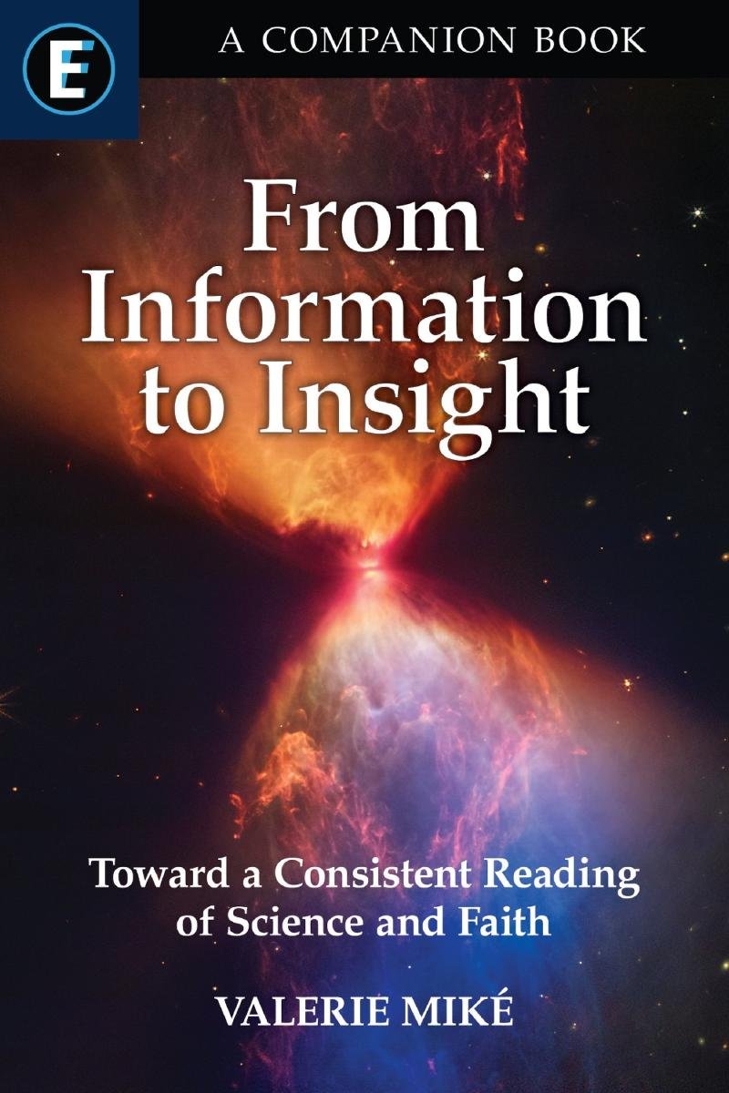 From Information to Insight okładka