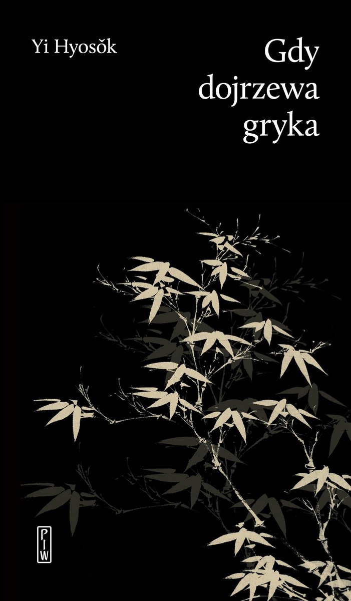 Gdy dojrzewa gryka okładka