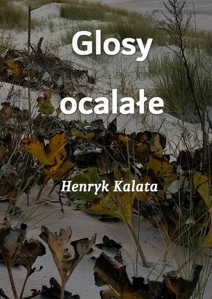 Glosy ocalałe okładka