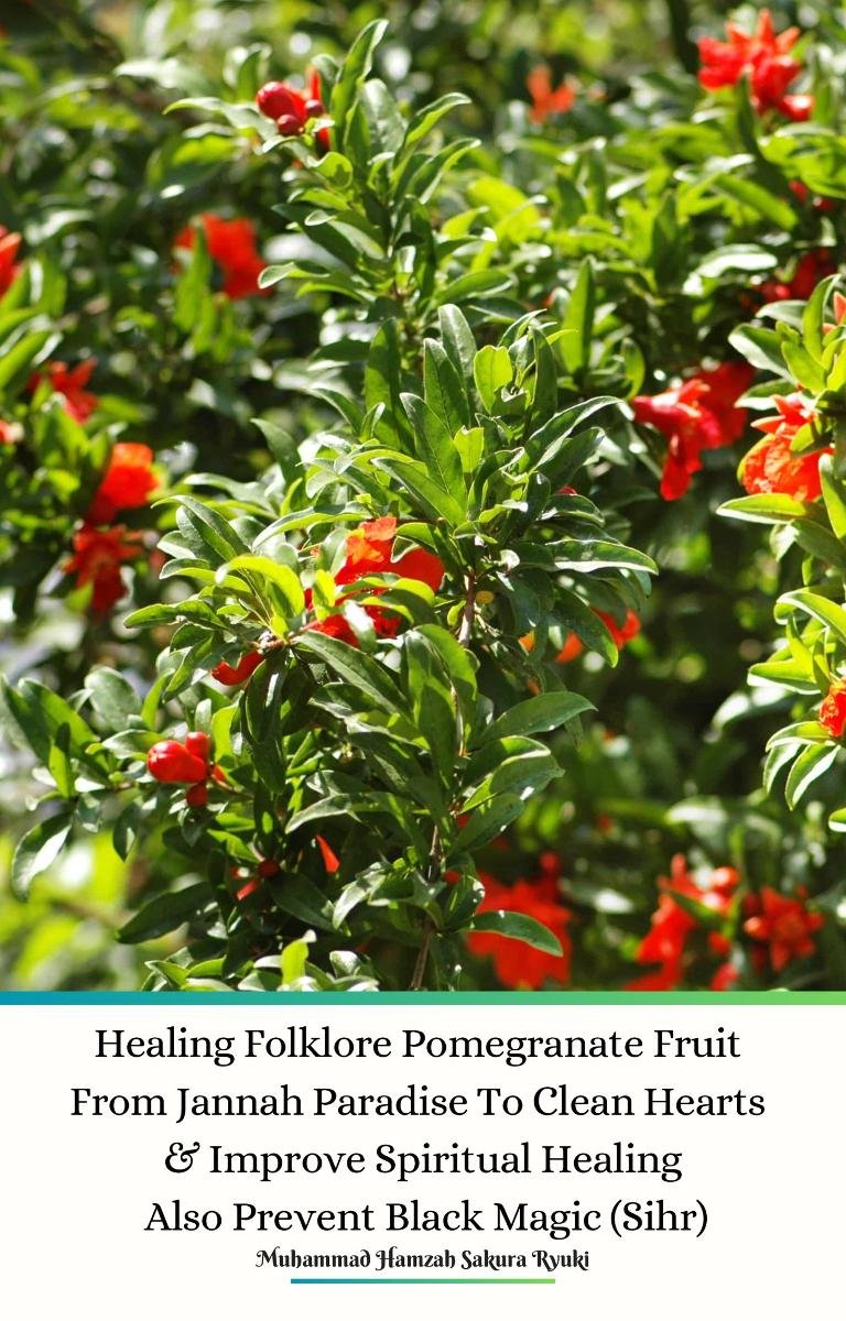 Healing Folklore Pomegranate Fruit From Jannah Paradise To Clean Hearts & Improve Spiritual Healing Also Prevent Black Magic (Sihr) okładka