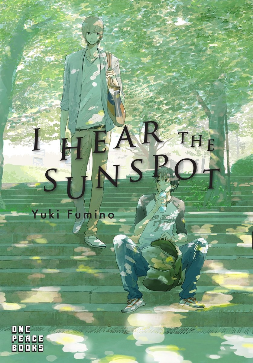 I Hear the Sunspot okładka