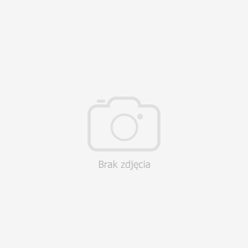 Inny słownik języka polskiego PWN. Tom 1-2 okładka