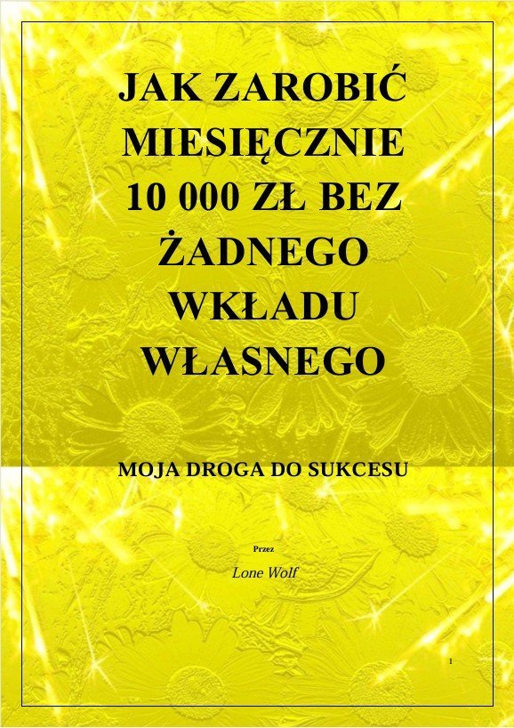 Jak zarobić miesięcznie 10 000 zł bez żadnego wkładu własnego. Moja droga do sukcesu okładka