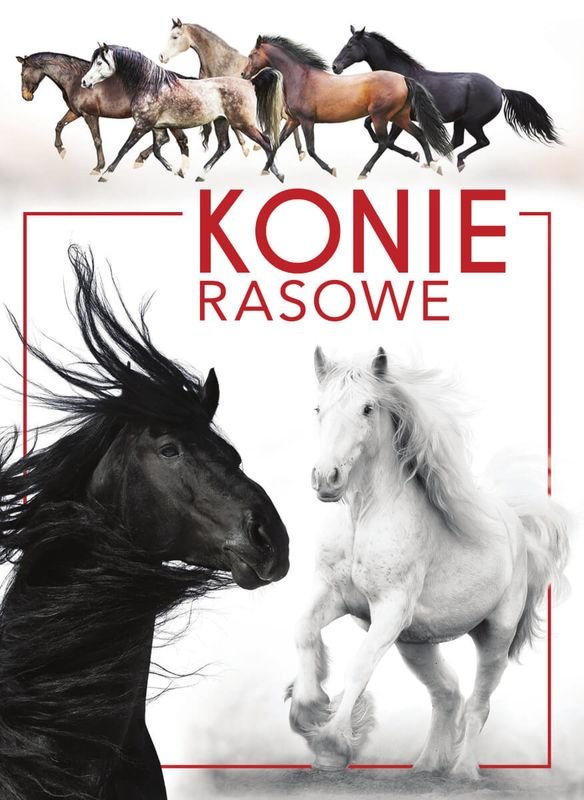 Konie rasowe okładka