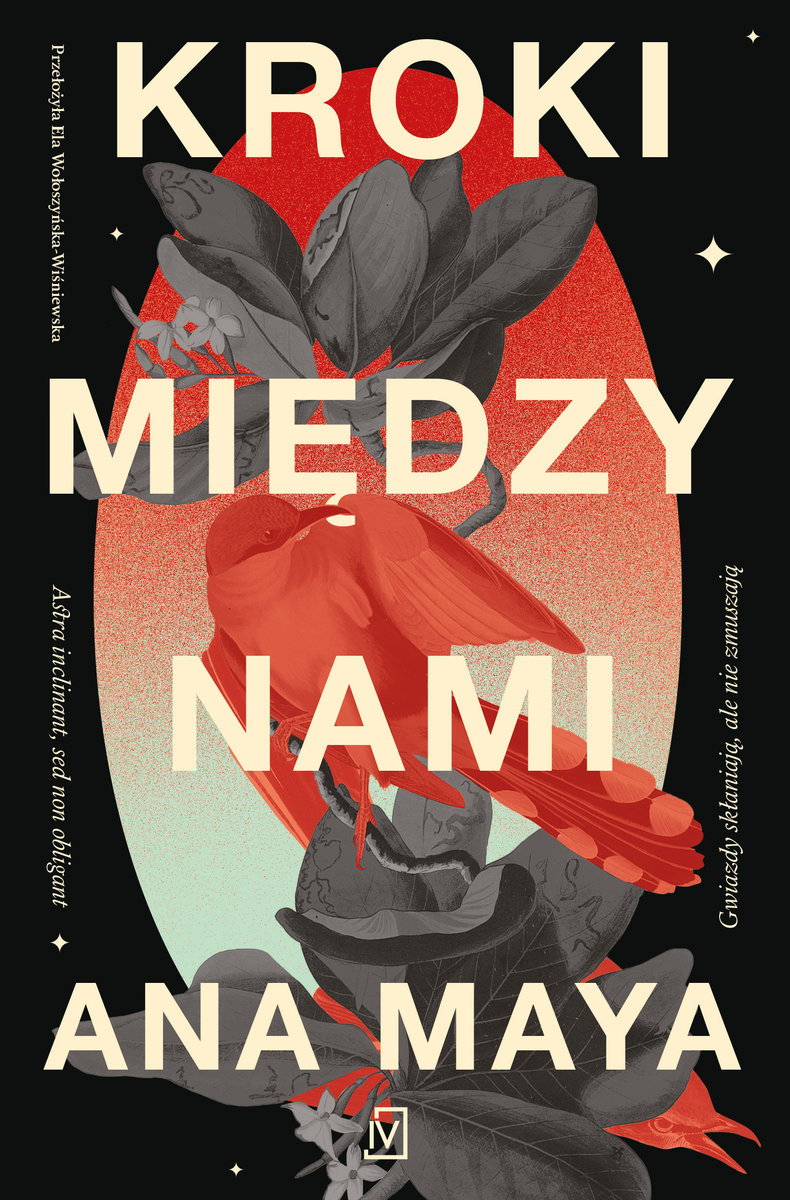 Kroki między nami okładka