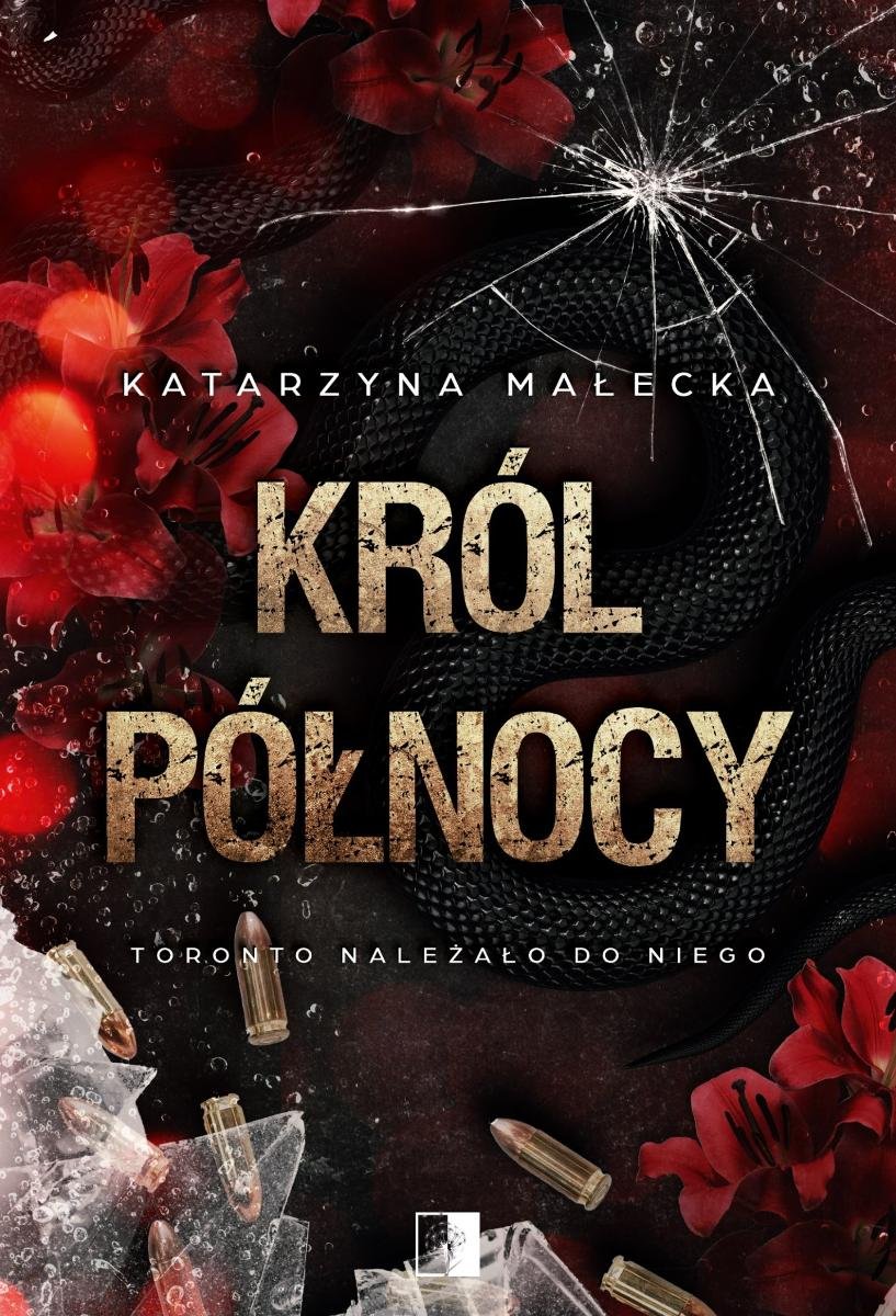 Król północy - ebook epub okładka