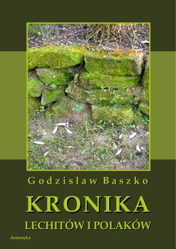 Kronika Lechitów i Polaków okładka