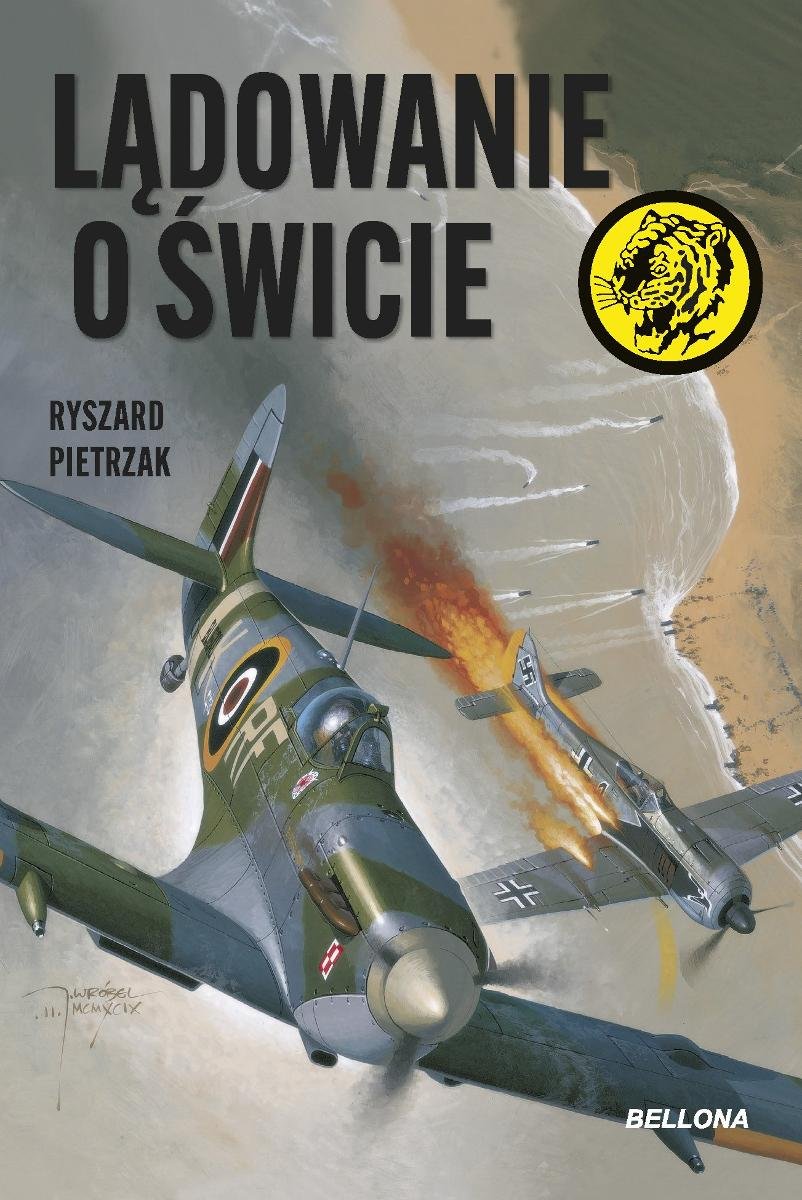 Lądowanie o świcie - ebook EPUB okładka