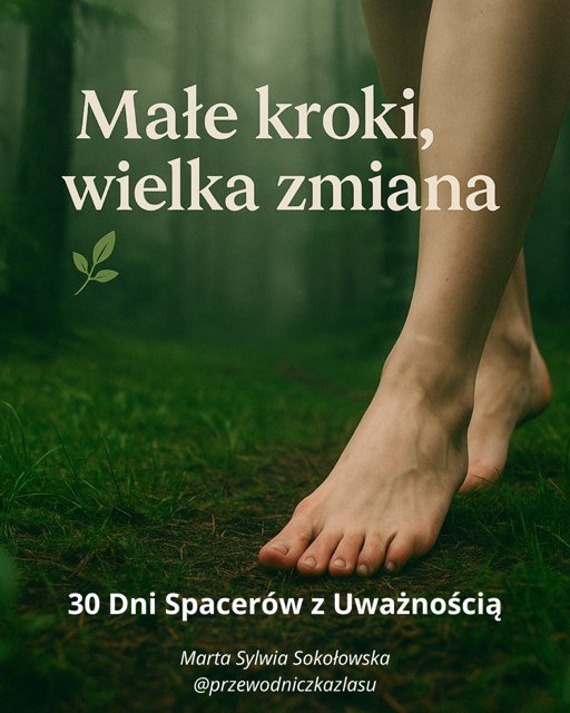 Małe kroki, wielka zmiana. 30 dni spacerów z uważnością okładka