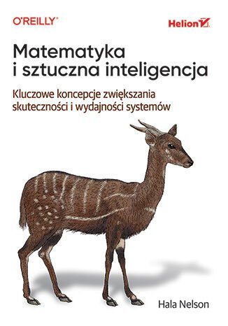 Matematyka i sztuczna inteligencja. Kluczowe koncepcje zwiększania skuteczności i wydajności systemów - ebook EPUB okładka