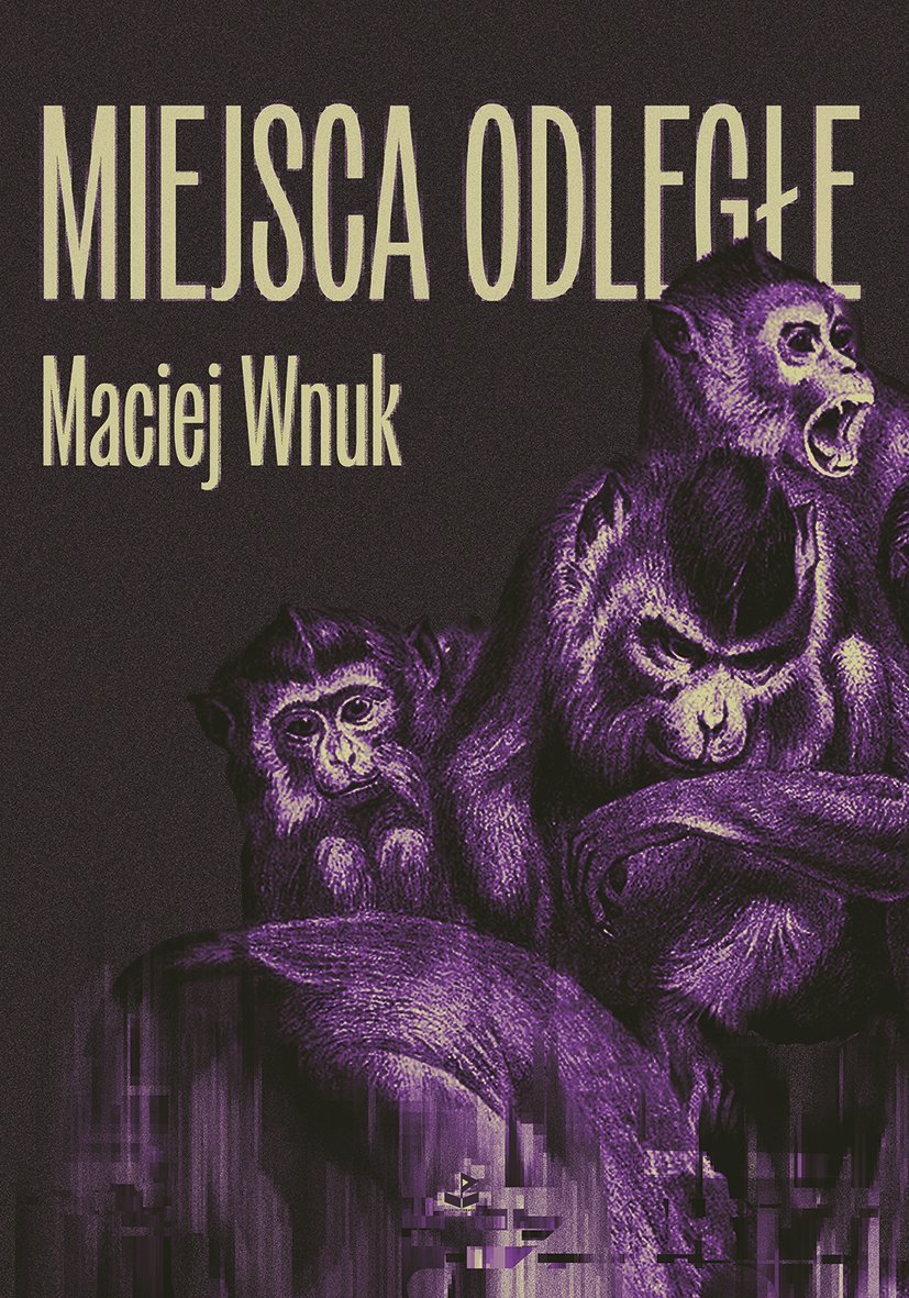 Miejsca odległe - ebook EPUB okładka