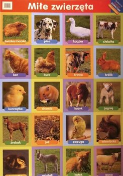 Miłe zwierzęta. Plakat edukacyjny okładka