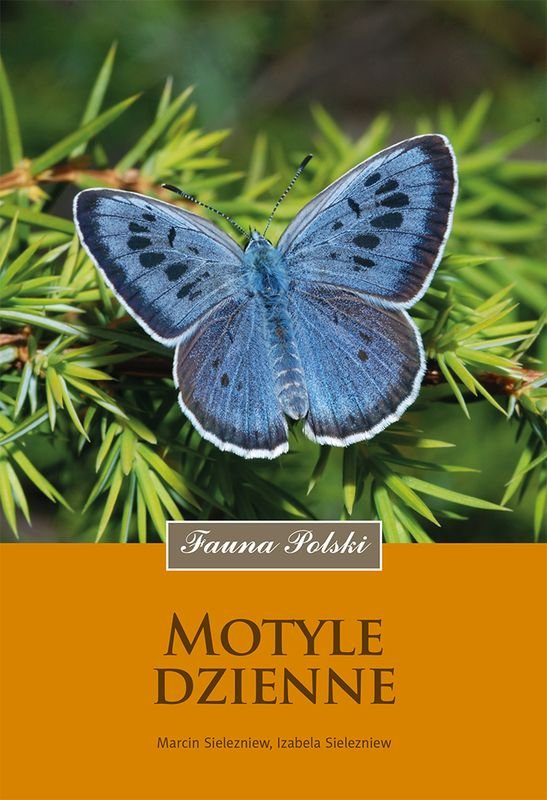 Motyle dzienne cover
