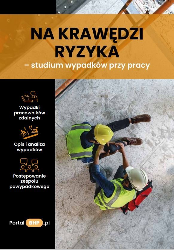 Na krawędzi ryzyka – studium wypadków przy pracy - ebook MOBI okładka