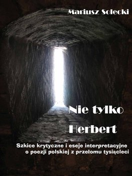 Nie tylko Herbert. Szkice krytyczne i eseje interpretacyjne o poezji polskiej z przełomu tysiącleci okładka