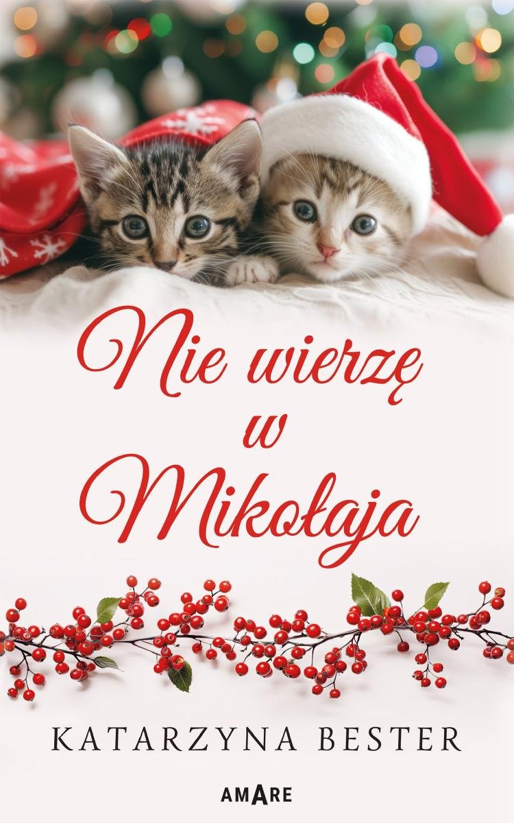 Nie wierzę w Mikołaja okładka