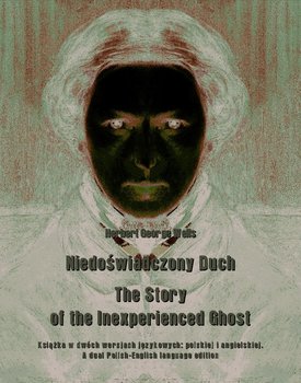Niedoświadczony Duch. The Story of the Inexperienced Ghost okładka