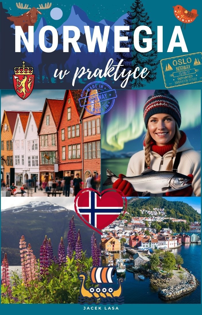 Norwegia w praktyce okładka