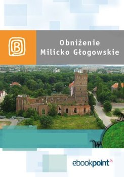 Obniżenie Milicko-Głogowskie. Miniprzewodnik okładka