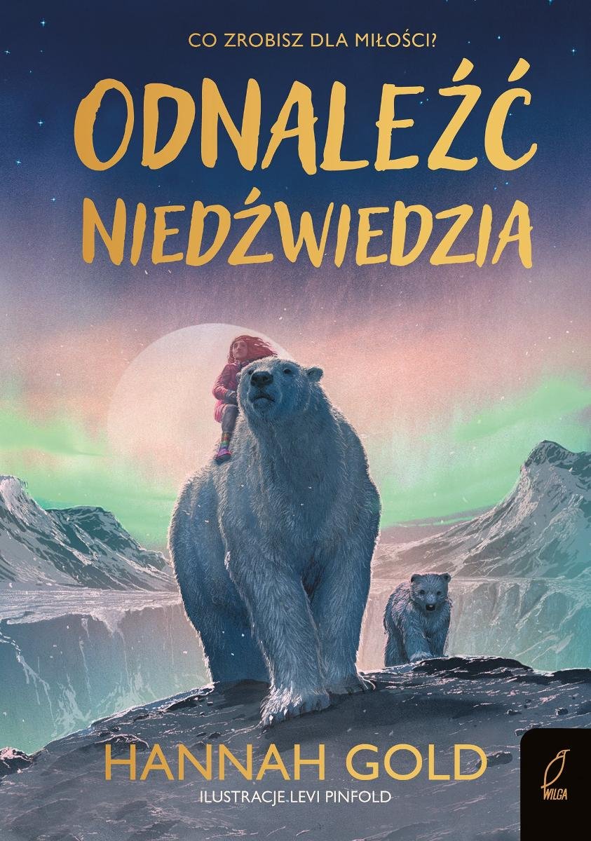 Odnaleźć niedźwiedzia - ebook EPUB okładka