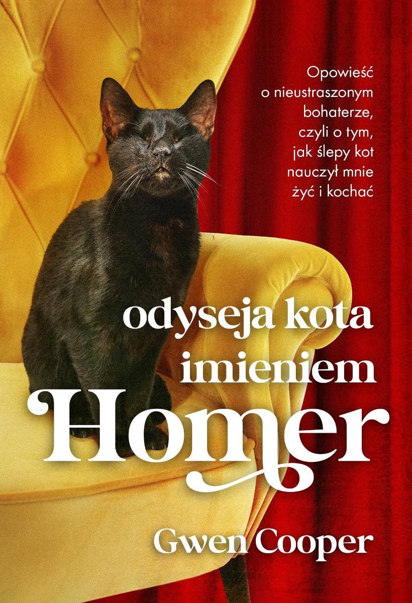 Odyseja kota imieniem Homer okładka