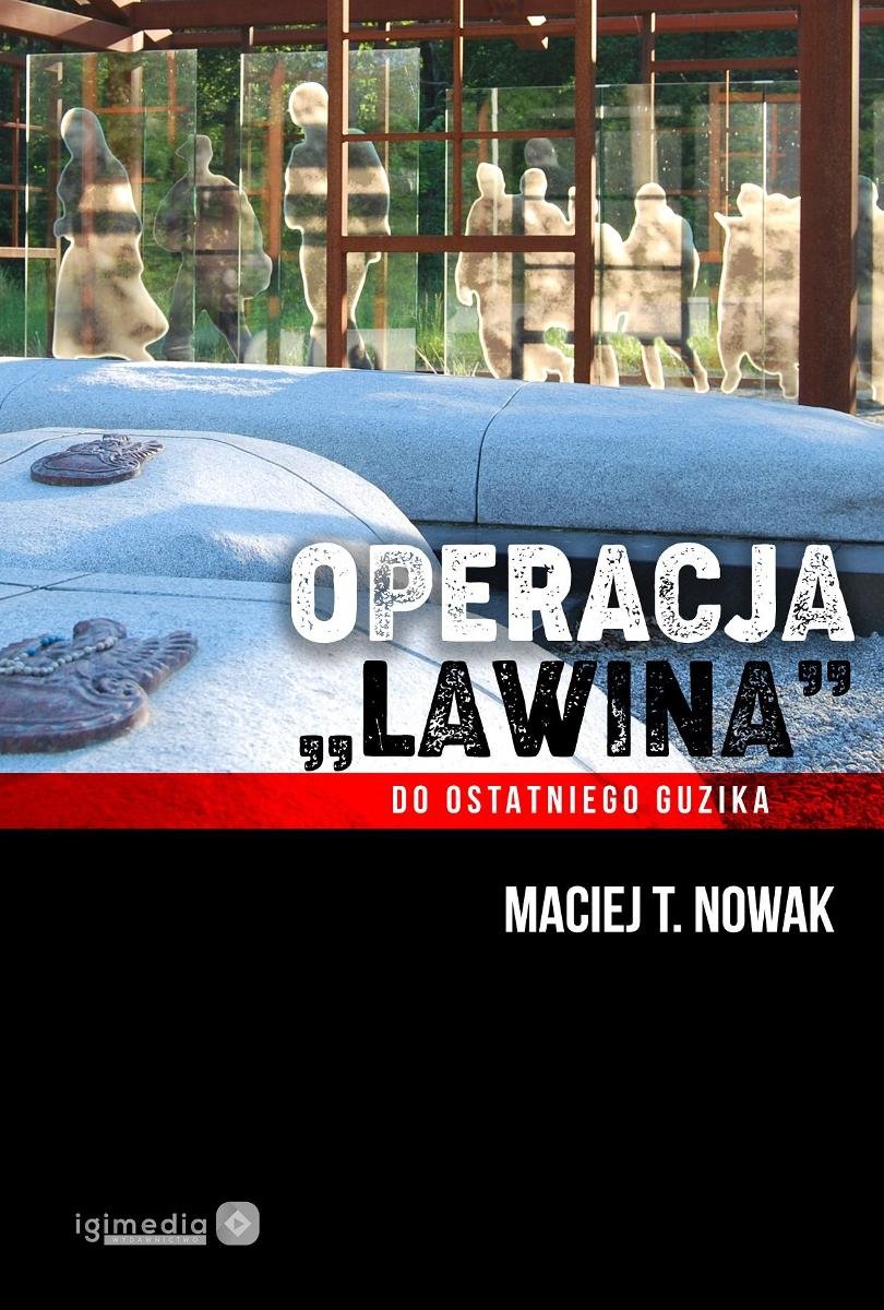 Operacja Lawina. Do ostatniego guzika okładka