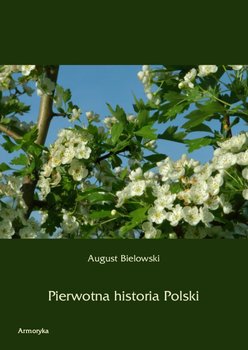 Pierwotna historia Polski okładka