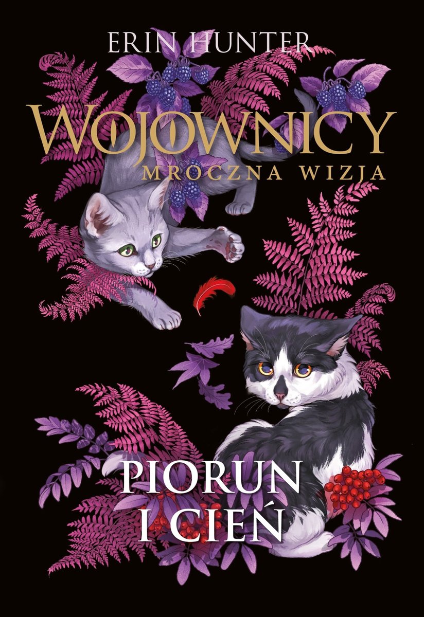 Piorun i cień okładka