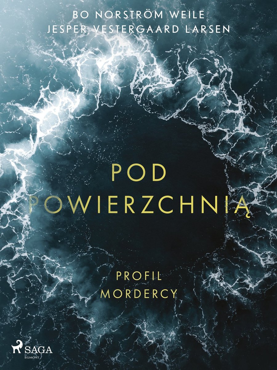 Pod powierzchnią. Profil mordercy okładka