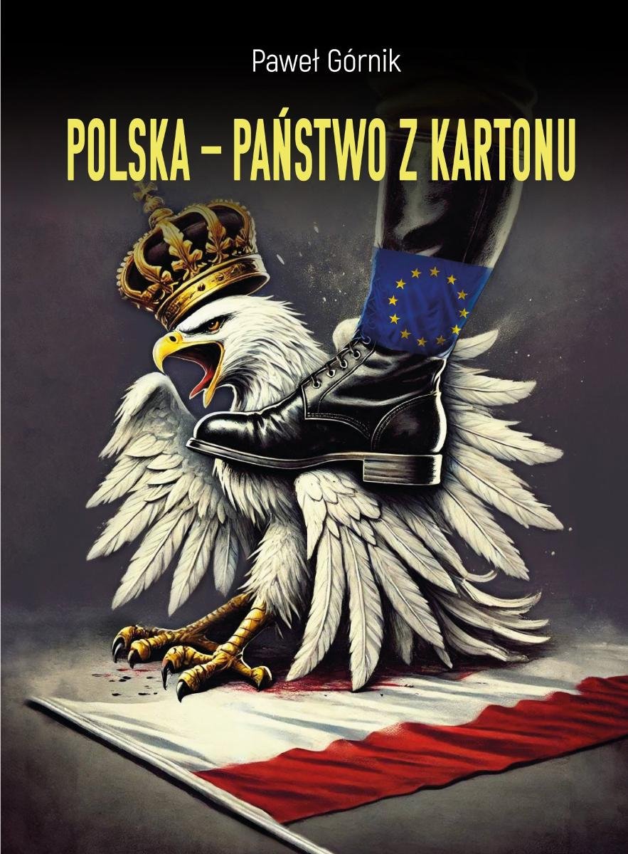 Polska. Państwo z kartonu okładka