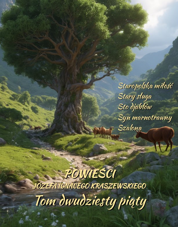 Powieści Józefa Ignacego Kraszewskiego. Tom 25 - ebook epub okładka